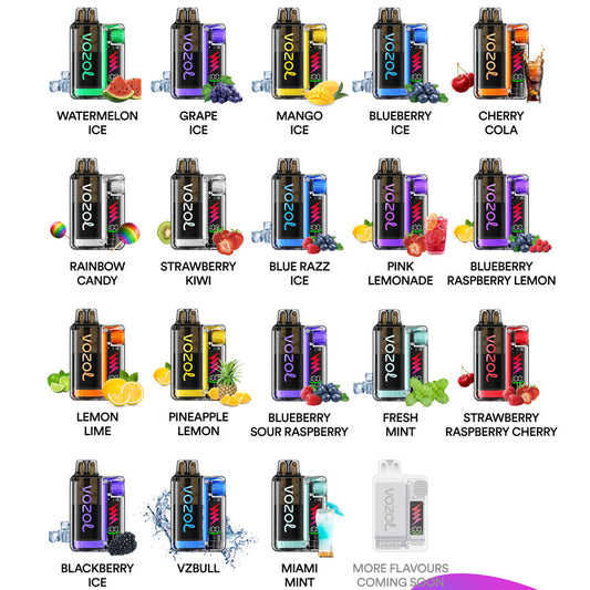 VOZOL VISTA 10000 Puffs Disposable Vape 20mg Nicotine 650mAh Battery  Wholesale 20 Flavors