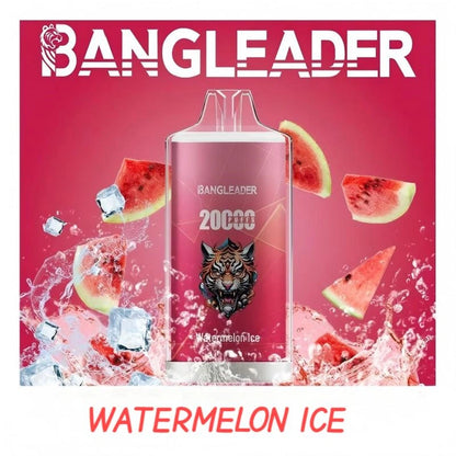 BANGLEADER 20000 PUFFS Crystal Vape Discount Sale Bulk Price