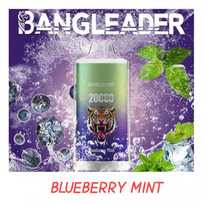 BANGLEADER 20000 PUFFS Crystal Vape Discount Sale Bulk Price
