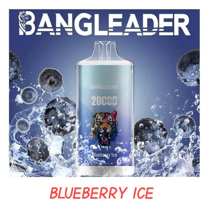 BANGLEADER 20000 PUFFS Crystal Vape Discount Sale Bulk Price