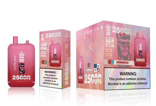 Bang 25000 Puffs Dual Mesh Coil Pod Rechargeable E Cigarette Disposable Vapes Bang King 25k Puff