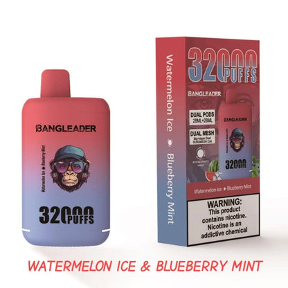 BANGLEADER 32000 PUFFS DUAL FLAVORS Vape Good Sale Discount Price