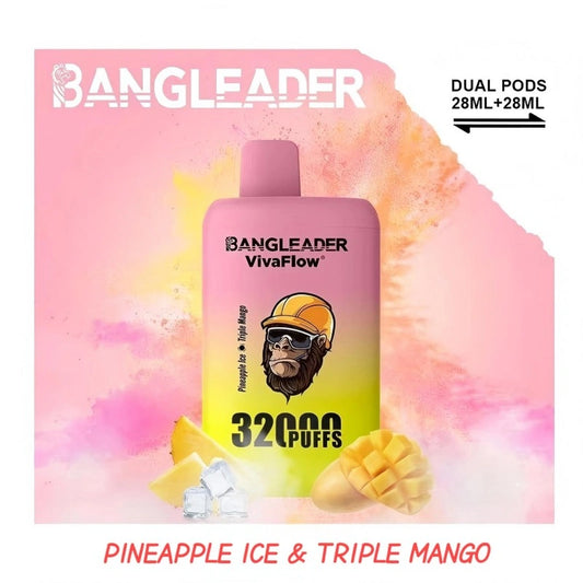 BANGLEADER 32000 PUFFS DUAL FLAVORS Vape Good Sale Discount Price