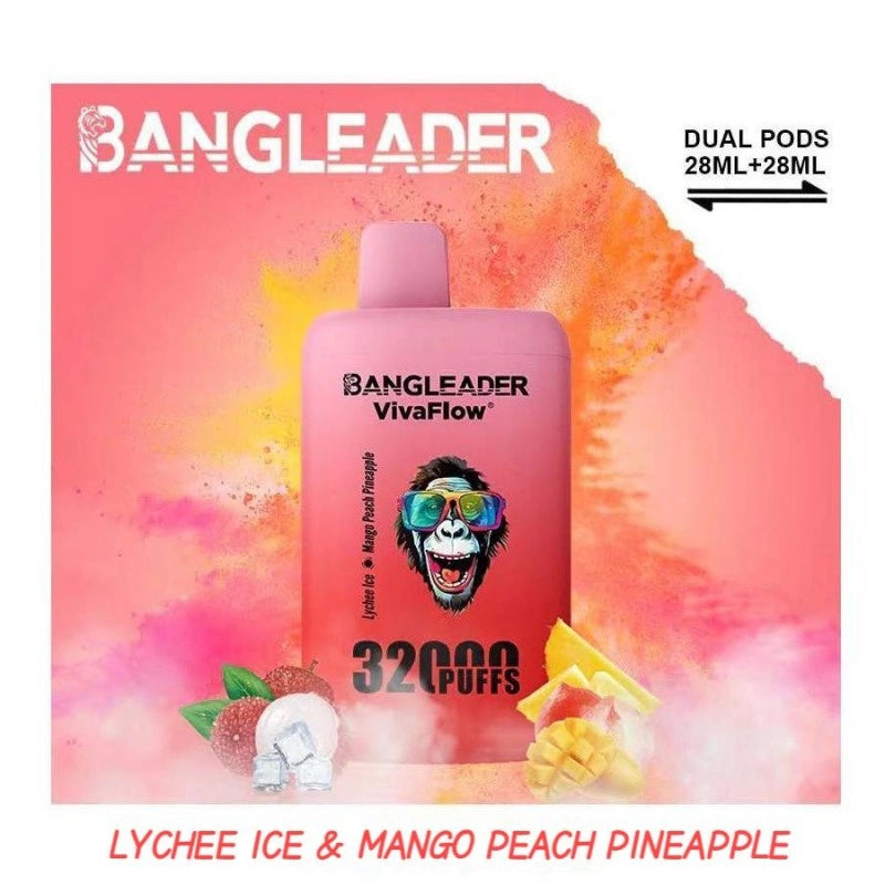 BANGLEADER 32000 PUFFS DUAL FLAVORS Vape Good Sale Discount Price