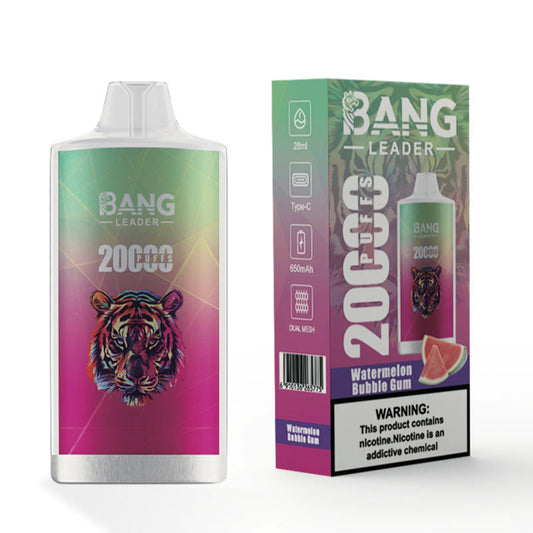 Bang Leader 20000 Puffs Disposable Vape - 28ml E-Liquid, 650mAh Battery,Summer  12 Flavors。