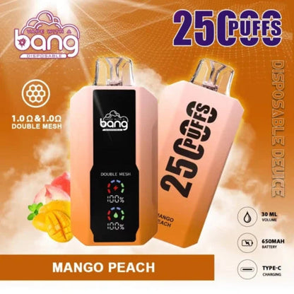 Bang 25000 Puffs Vape 25K Disposable Vape Pen E Cigarette Prefilled 30ml 650mAh Disposable Vape 12 Flavors