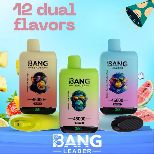 Bang Leader 45000 Puffs Dual Flavors Factory Direct Supply Bulk Price