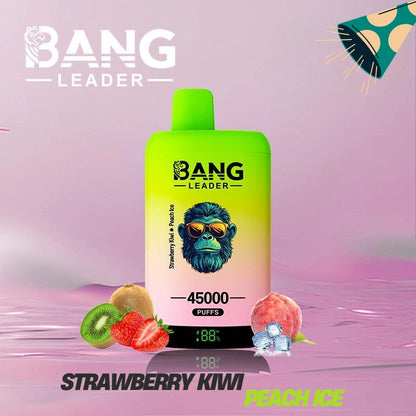 Bang Leader 45000 Puffs Dual Flavors Factory Direct Supply Bulk Price