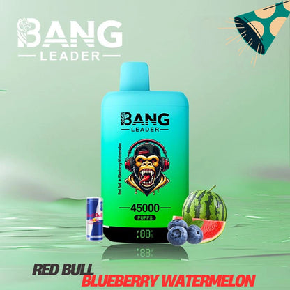 Bang Leader 45000 Puffs Dual Flavors Factory Direct Supply Bulk Price