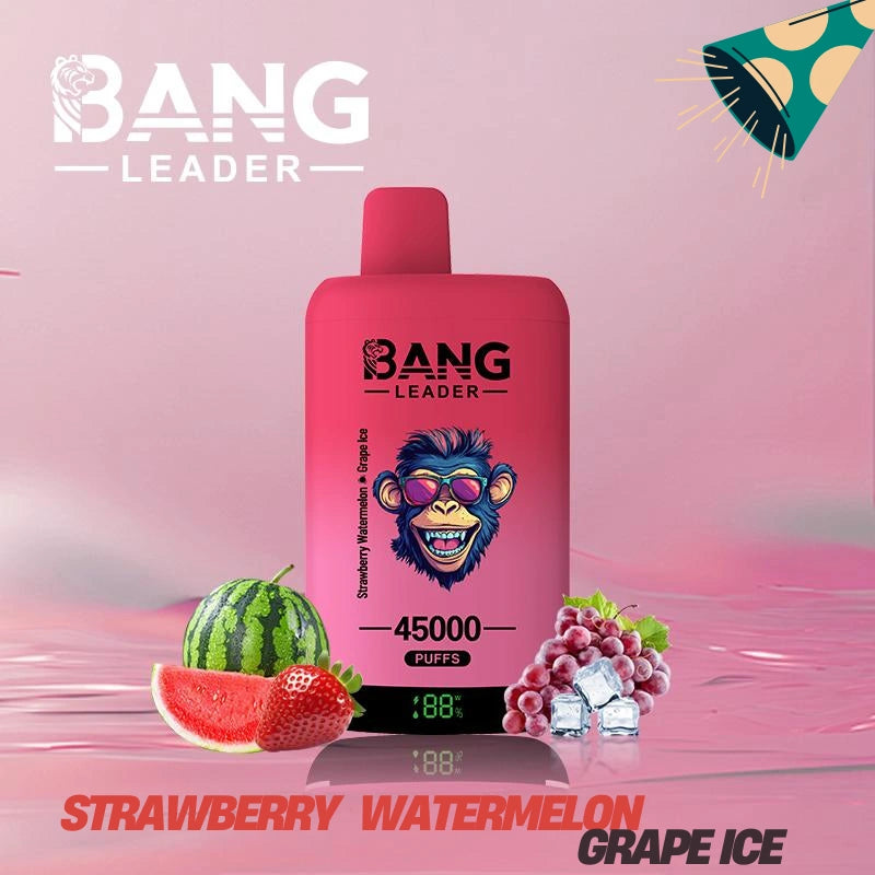 Bang Leader 45000 Puffs Dual Flavors Factory Direct Supply Bulk Price