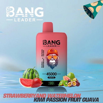 Bang Leader 45000 Puffs Dual Flavors Factory Direct Supply Bulk Price