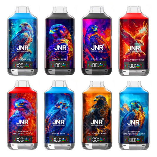 JNR 18000 Puffs Vape 18K Disposable Vape Pen E Cigarette Prefilled 24ml 950mAh Disposable Vape 12 Flavors