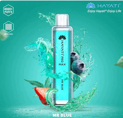 Hayati Pro Max 4000 Puffs