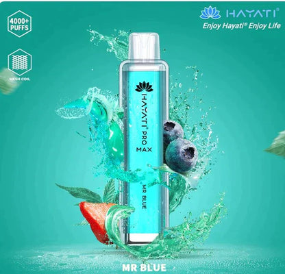 Hayati Pro Max 4000 Puffs  Box Of 10