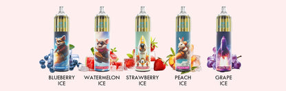 JNR Rocket X 12400 Puffs Disposable Vape-850mAh Battery, 22ml E-liquid, Multiple Nicotine 21 Flavors