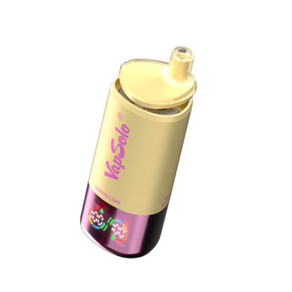 VapSolo Triple 30K Puffs Disposable Vape | 3 Flavors,Triple Mesh Coil,LCD Display