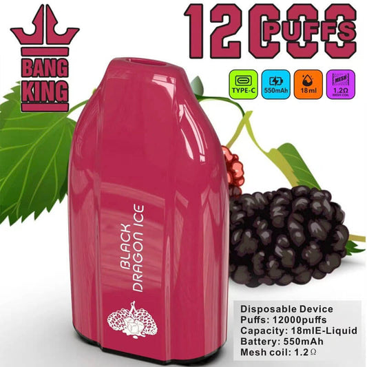Bang King 12000 Puffs Disposable Vape - 12ml E-Liquid, 600mAh Battery
