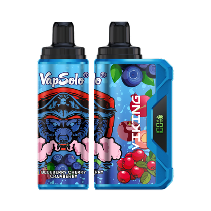 VapSolo Viking 12K Puffs Disposable Vape | Ajustable Airflow,LCD Display,Type-C port