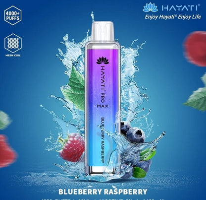 Hayati Pro Max 4000 Disposable Vape Pod Device – Box of 10
