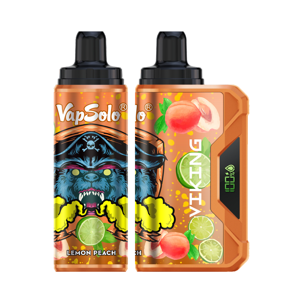 VapSolo Viking 12K Puffs Disposable Vape | Ajustable Airflow,LCD Display,Type-C port