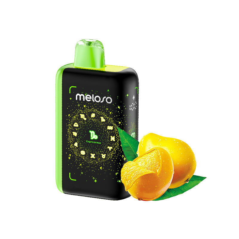 Geek Bar Meloso Bar 30000 Disposable Vape-800mAh Battery, 18ml E-liquid, Multiple Nicotine 12 Flavors