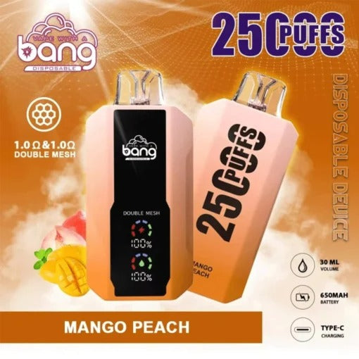 Bang 25000 Puffs Vape 25K Disposable Vape Pen E Cigarette Prefilled 30ml 650mAh Disposable Vape 12 Flavors
