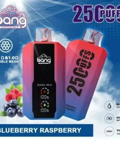 Bang 25000 Puffs Vape 25K Disposable Vape Pen E Cigarette Prefilled 30ml 650mAh Disposable Vape 12 Flavors