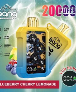 Bang 20000 Puffs Vape 20K Disposable Vape Pen E Cigarette Prefilled 25ml 500mAh Disposable Vape 12 Flavors