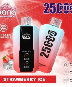 Bang 25000 Puffs Vape 25K Disposable Vape Pen E Cigarette Prefilled 30ml 650mAh Disposable Vape 12 Flavors