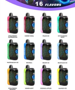 Bang King Double Crystal 25000 Puffs Vape 25K Disposable Vape Pen E Cigarette Prefilled 25ml 650mAh 25K Puff Disposable Vape | 30ml Capacity | Double Mesh Coil