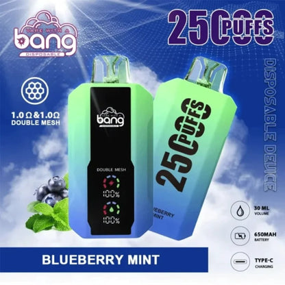 Bang 25000 Puffs Vape 25K Disposable Vape Pen E Cigarette Prefilled 30ml 650mAh Disposable Vape 12 Flavors