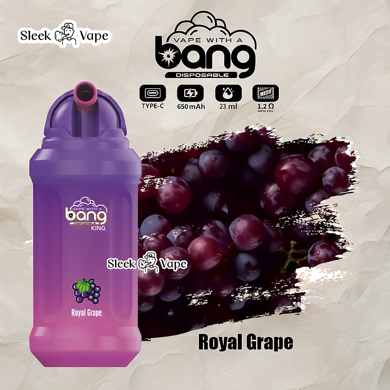 Bang King 12000 Puffs 0% 2% 3% 5% Nicotine Rechargeable Disposable Pod- 23ml E-Liquid, 850mAh Battery 20 Flavors