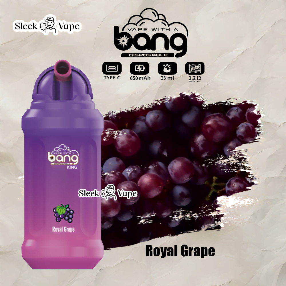 Bang King 12000 Puffs 0% 2% 3% 5% Nicotine Rechargeable Disposable Pod- 23ml E-Liquid, 850mAh Battery 20 Flavors