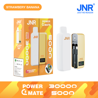 JNR Power Mate 30000 Puffs Smart Screen Disposable Vape & Power Bank – Dual Functionality Redefined-5000mAh Battery, 19ml E-liquid, Multiple Nicotine 10 Flavors