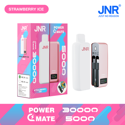 JNR Power Mate 30000 Puffs Smart Screen Disposable Vape & Power Bank – Dual Functionality Redefined-5000mAh Battery, 19ml E-liquid, Multiple Nicotine 10 Flavors