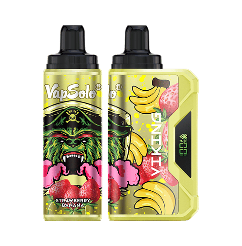 VapSolo Viking 12K Puffs Disposable Vape | Ajustable Airflow,LCD Display,Type-C port