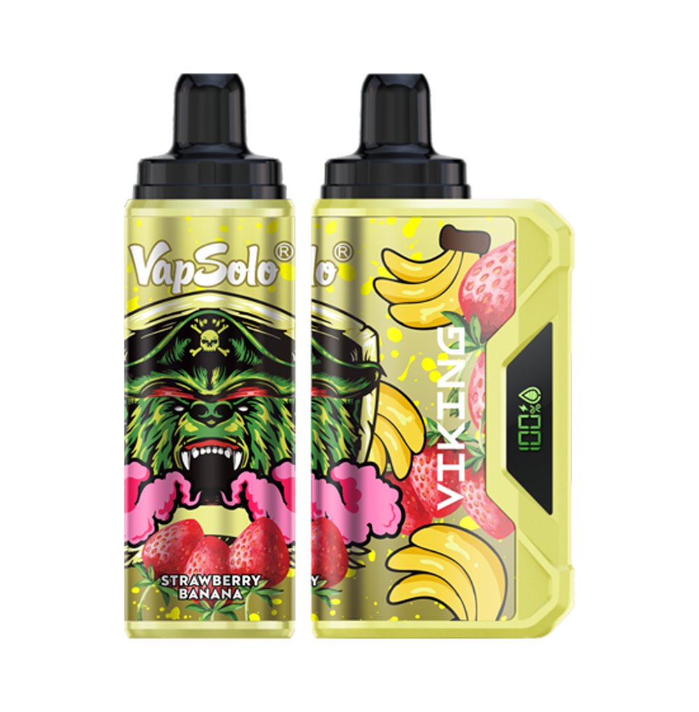 VapSolo Viking 12K Puffs Disposable Vape | Ajustable Airflow,LCD Display,Type-C port