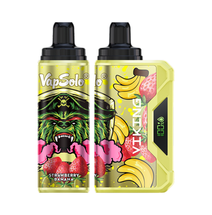 VapSolo Viking 12K Puffs Disposable Vape | Ajustable Airflow,LCD Display,Type-C port