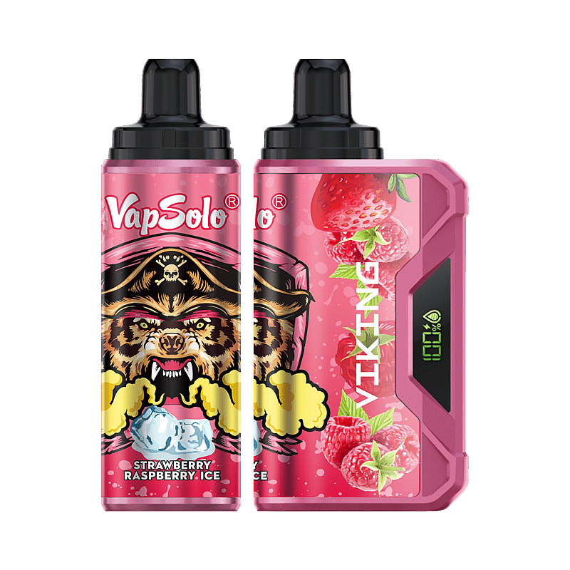 VapSolo Viking 12K Puffs Disposable Vape | Ajustable Airflow,LCD Display,Type-C port