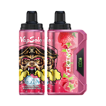 VapSolo Viking 12K Puffs Disposable Vape | Ajustable Airflow,LCD Display,Type-C port