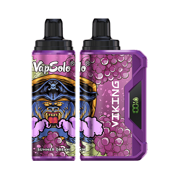 VapSolo Viking 12K Puffs Disposable Vape | Ajustable Airflow,LCD Display,Type-C port