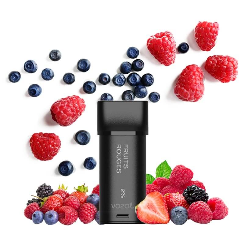 VOZOL Switch 600 puffs - Pack de 2 Cartouches 2ml capacity 12 FLAVORS