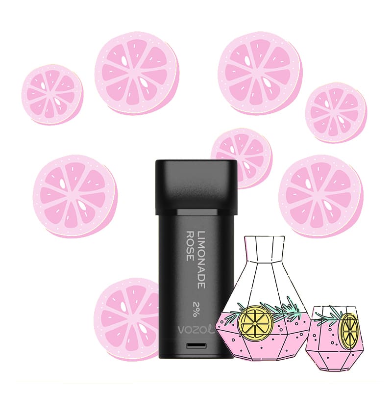 VOZOL Switch 600 puffs - Pack de 2 Cartouches 2ml capacity 12 FLAVORS