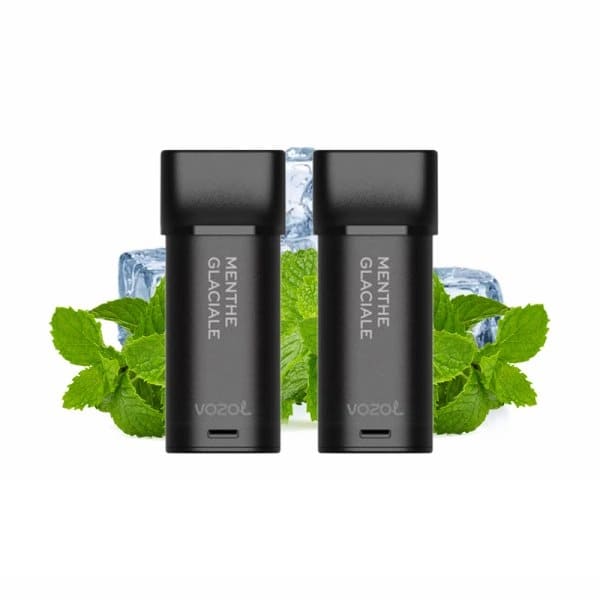 VOZOL Switch 600 puffs - Pack de 2 Cartouches 2ml capacity 12 FLAVORS